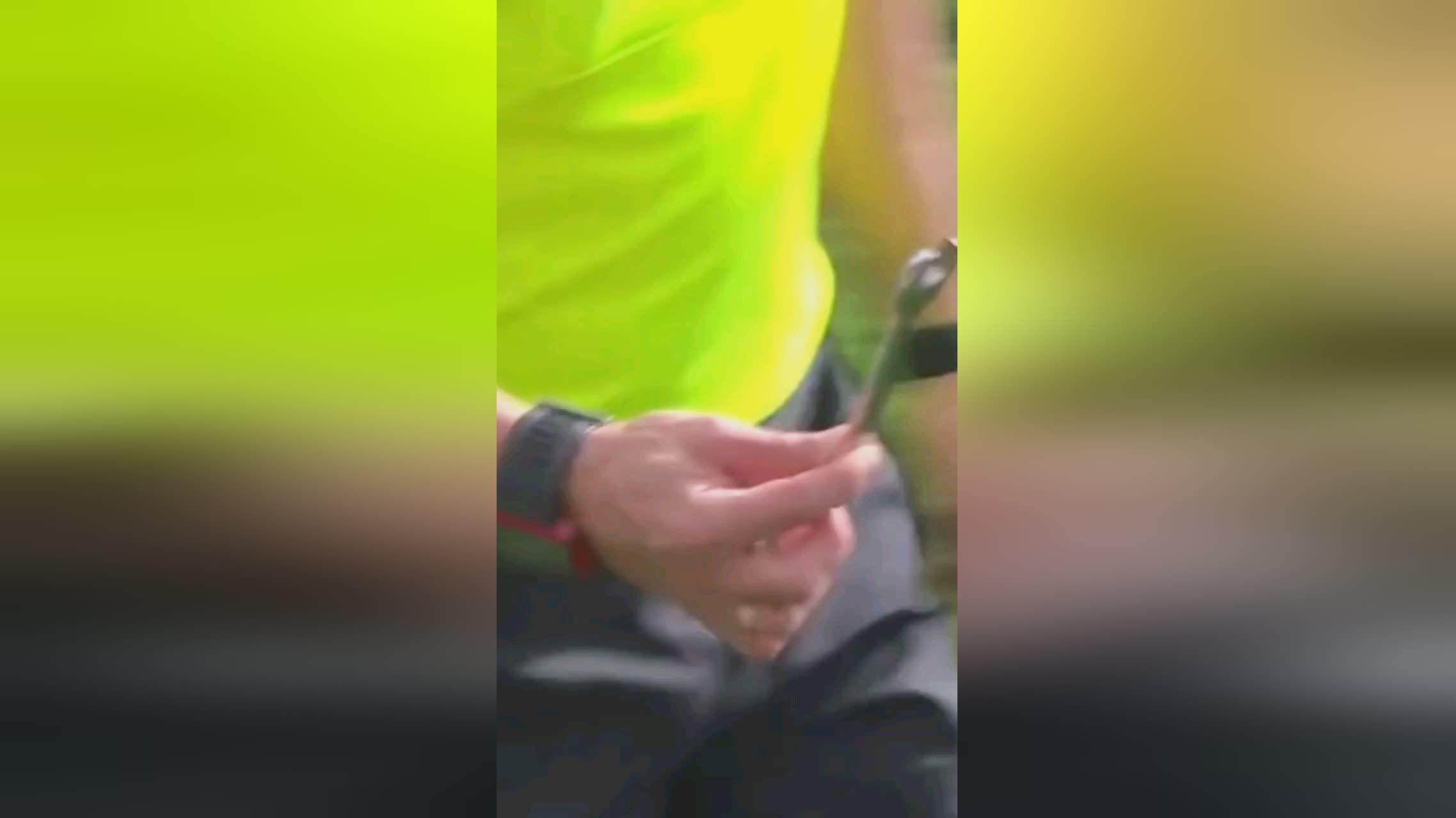 卫的兴